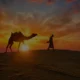 Jaisalmer sightseeing tour