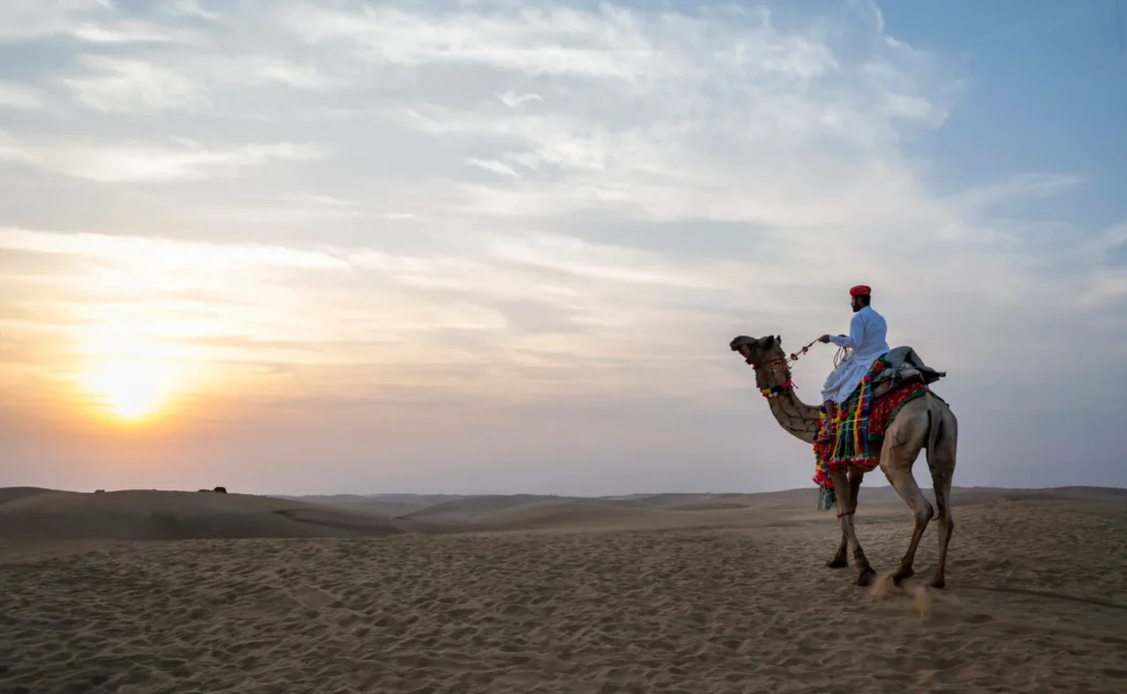 Camel safari in jaisalmer