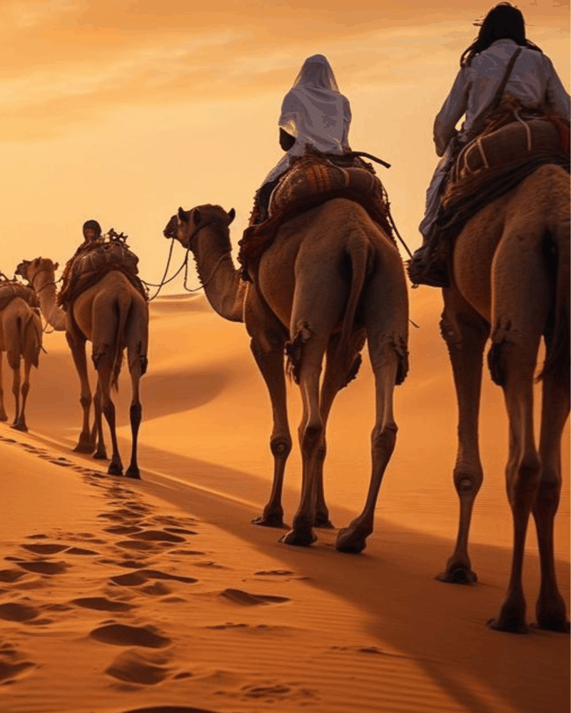 Desert Activities