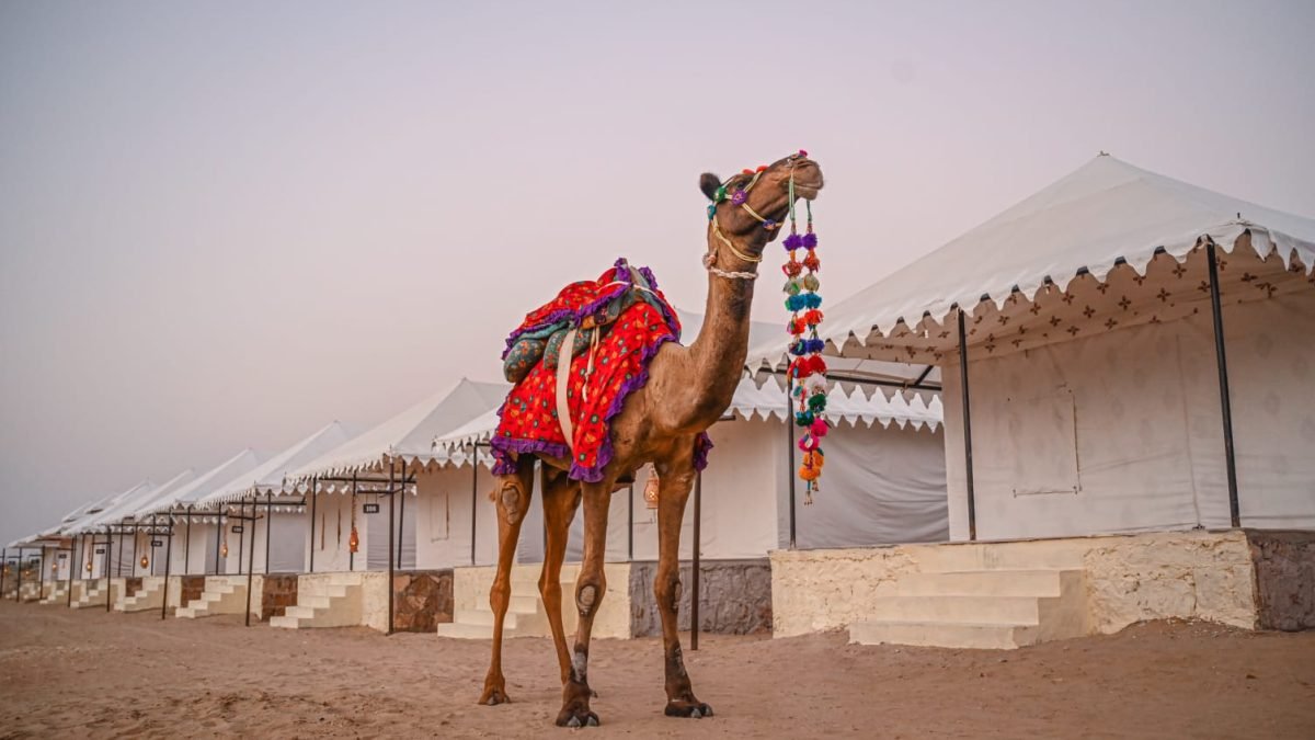 camel safari jaisalmer